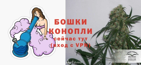 ECSTASY Нея