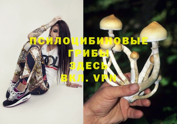 дмт Нефтекумск