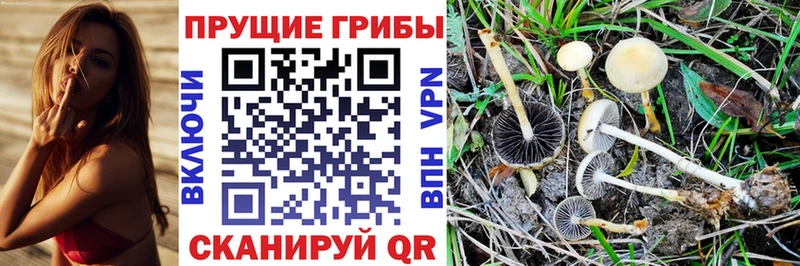 Псилоцибиновые грибы Magic Shrooms  Таштагол 